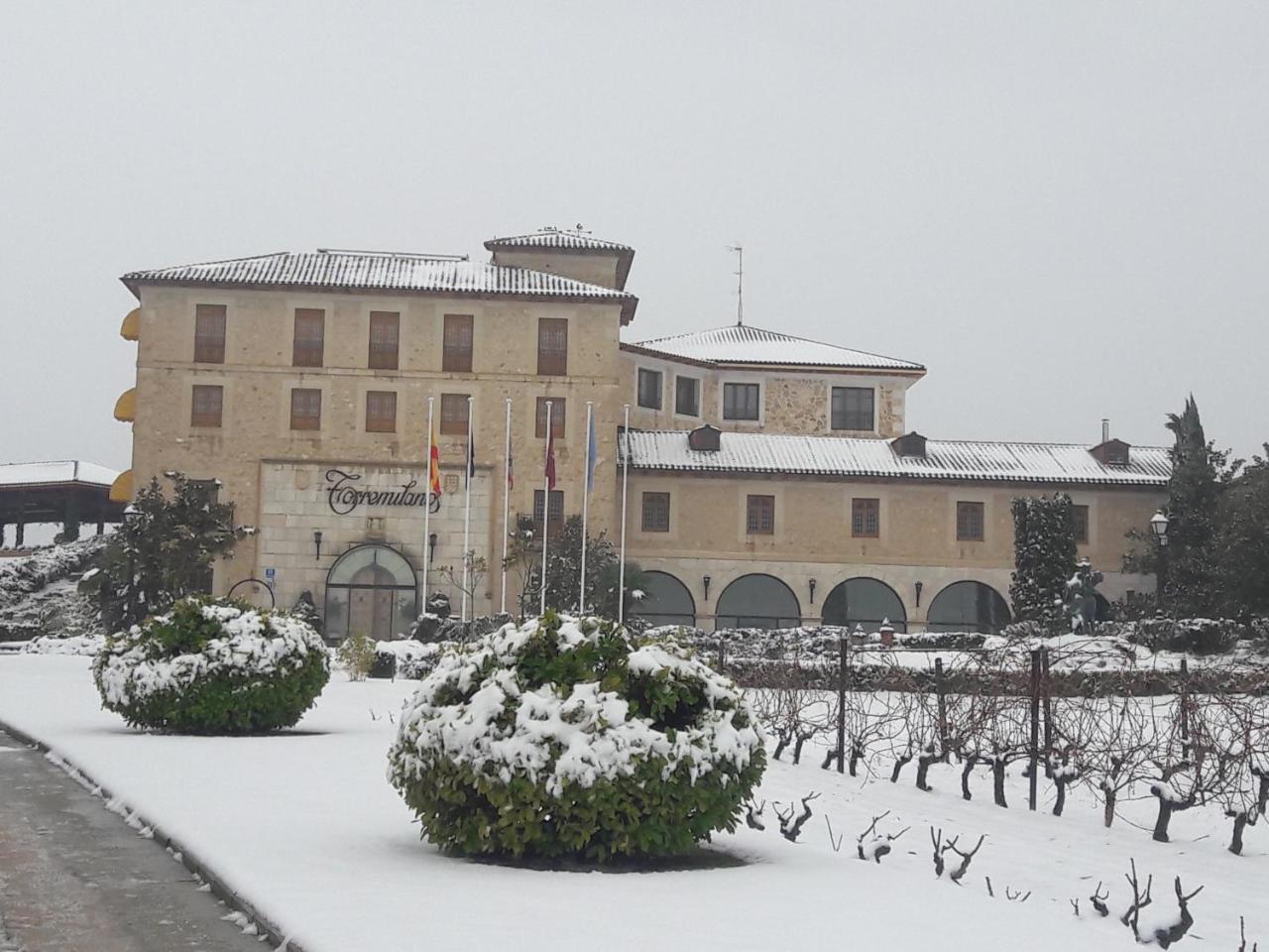 Hotel Torremilanos Aranda de Duero Εξωτερικό φωτογραφία
