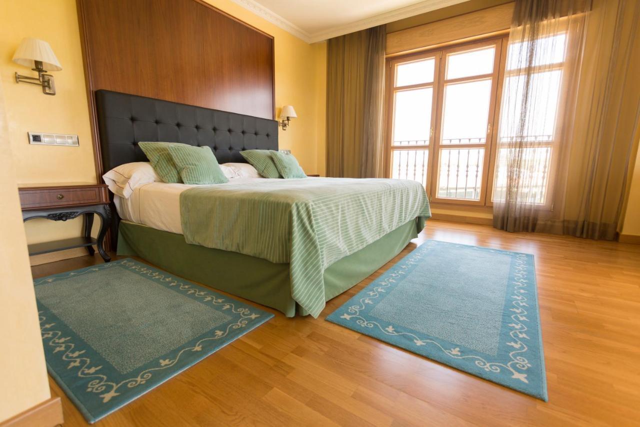 Hotel Torremilanos Aranda de Duero Εξωτερικό φωτογραφία