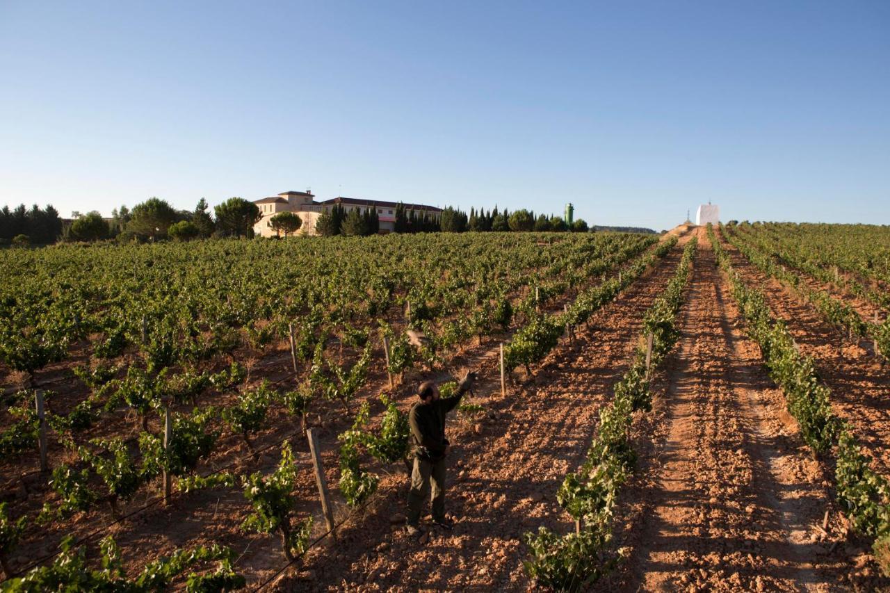Hotel Torremilanos Aranda de Duero Εξωτερικό φωτογραφία